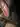 Ler